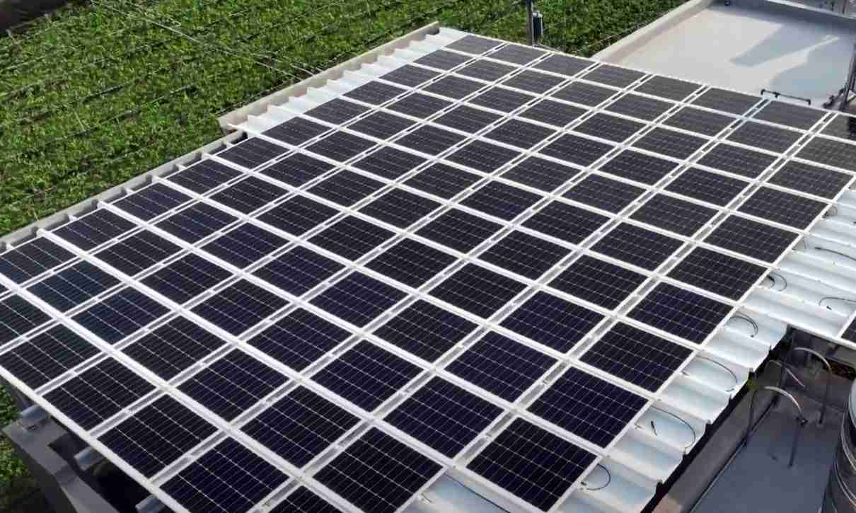 z6尊龙SunSteel光电浪板升级双玻结构，，以提升机械负载强度及气候耐候度，，，，可广泛运用于多元场域