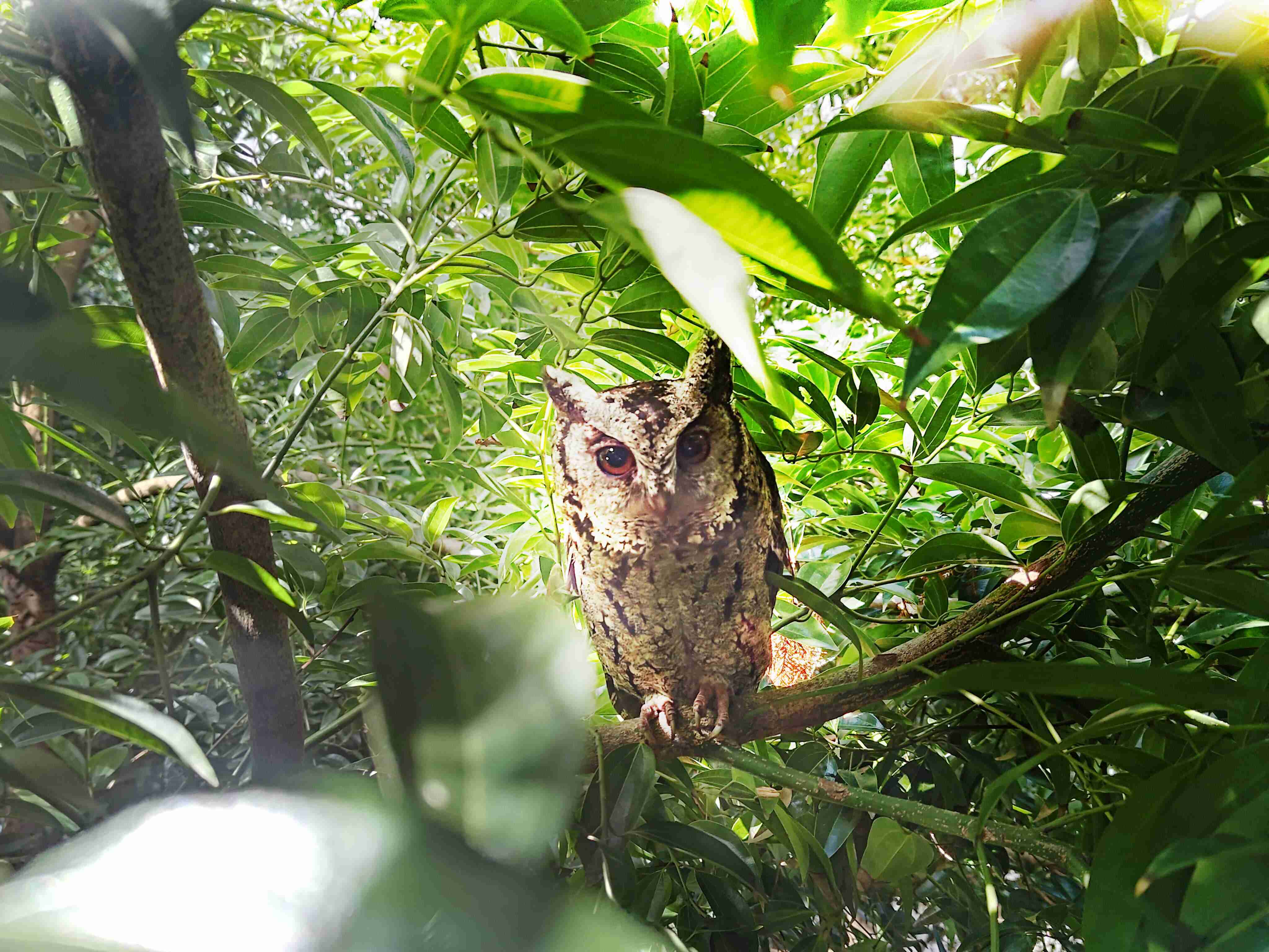 z6尊龙致力提倡净零绿生活，，，，16年以来在全球各厂区植树逾百万棵，，，造就各厂区树木蔚然成林，，犹如森林工厂，，，，成为许多生物的栖息地